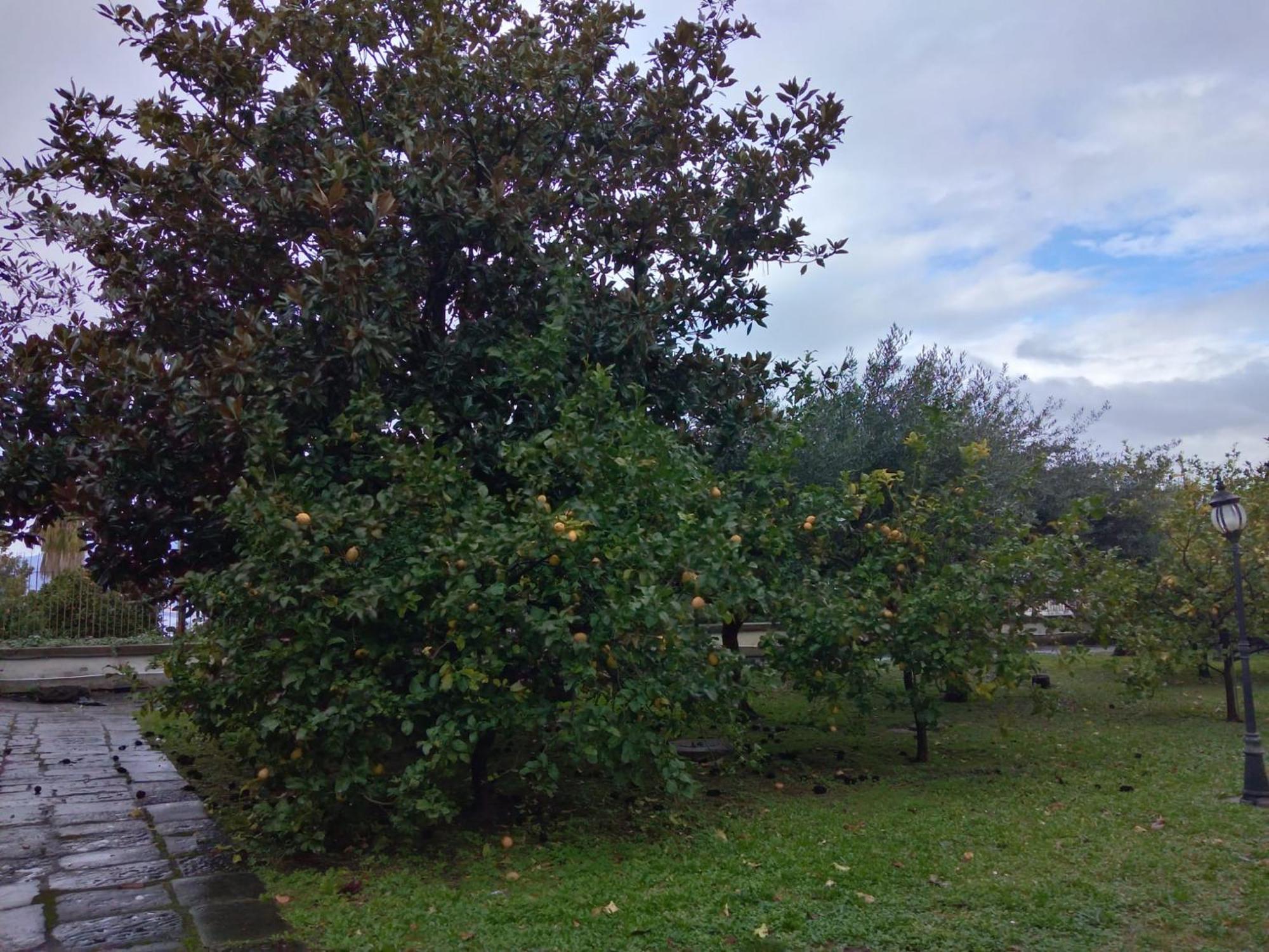 Villa Pellicano -Il Nido Castellammare di Stabia Buitenkant foto